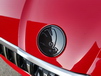 Kodiaq Monte Carlo emblem