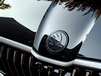 Kodiaq Monte Carlo emblem